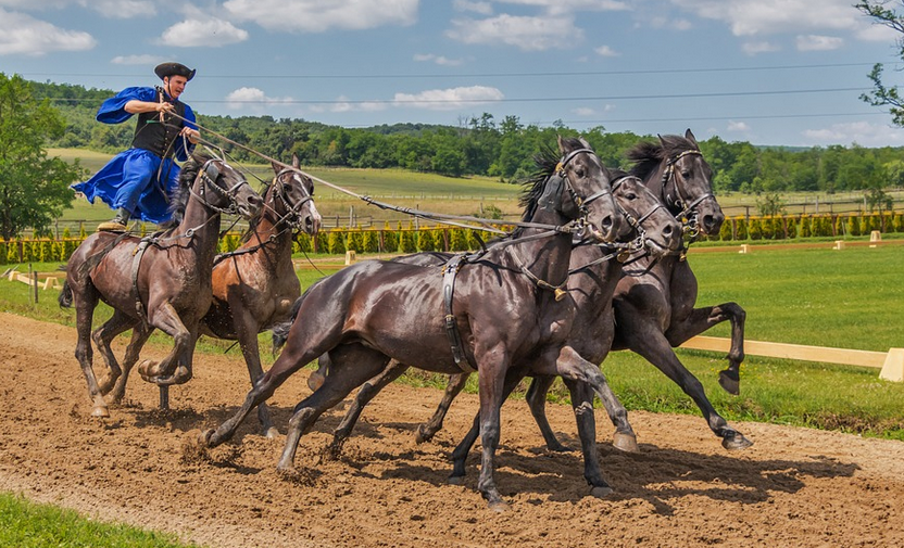 horse riding
