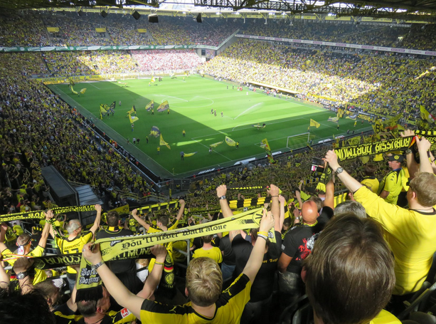 stadium